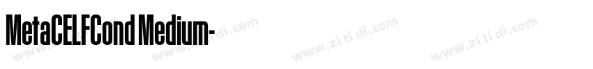 MetaCELFCond Medium字体转换 MetaCELFCond Medium字体转换
